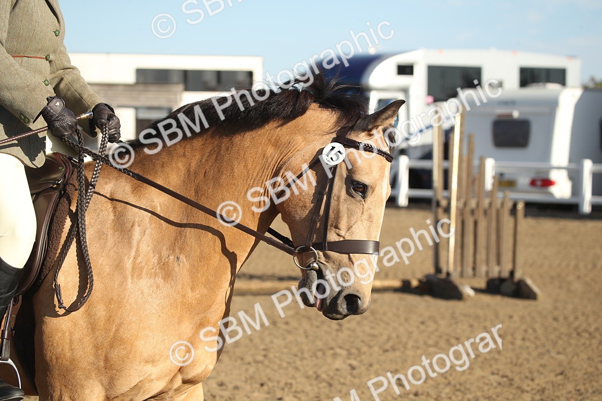 SBM_11563 - Class 502 - Riding Club Horse