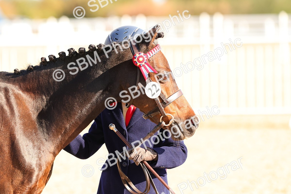 SBM_08673 - Class 203 - Young Handler 10 Years and Under