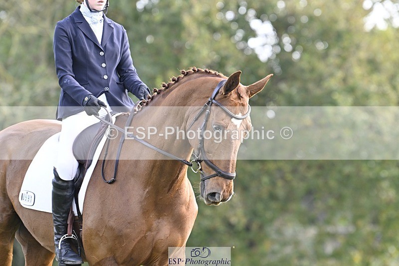 241025-151141-09754 - 591-Zennor.Harvey-GOODFELLA.GIO