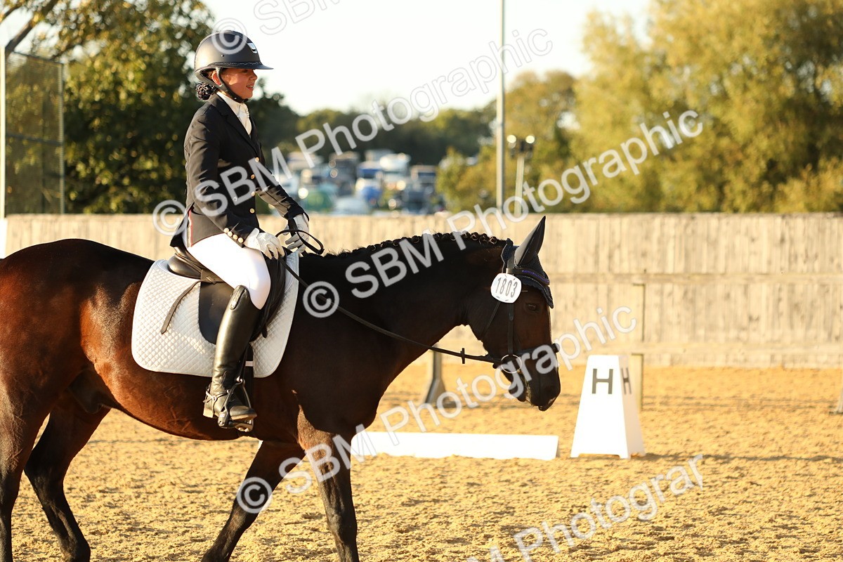 SBM_55336 - D25 - Junior Championships - Novice 24-Elementary 42