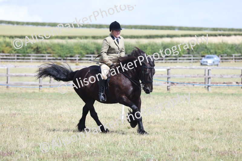 20250831-2927 - Class 19 - Mountain and Moorland