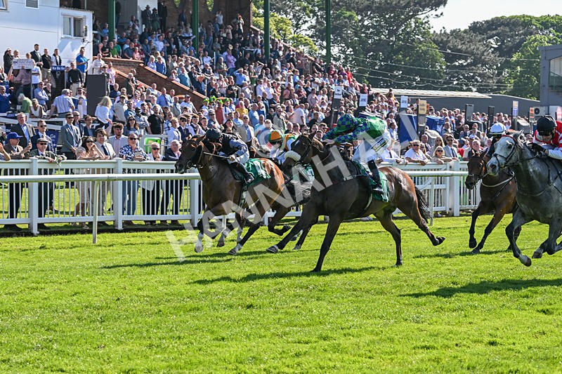 180524-Race 5-Tinto-9701 - Race 5