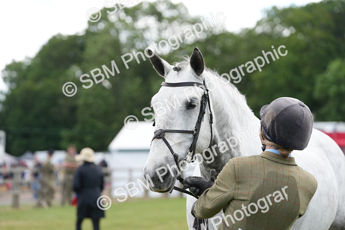 SBM_14898 - Class 100-102 - RIHS Working Hunter