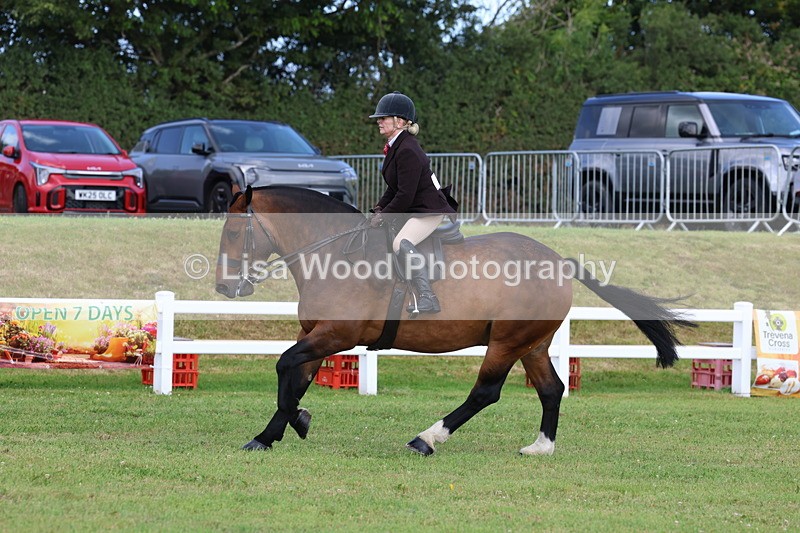 3E7A9888 - Class 5: Rising Star Lightweight/Heavyweight Cobs