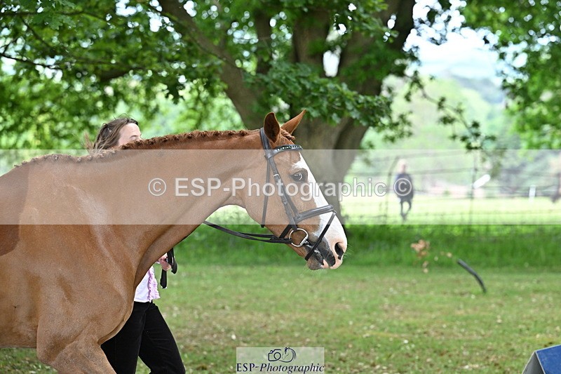 250521A-143225-00070 - A-006-Holly.Clarke-NICO