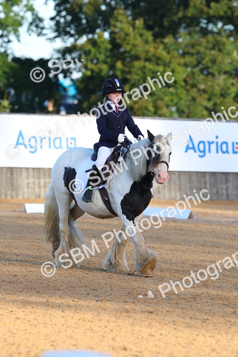 SBM_33441 - D26 - Test Starter Test 1