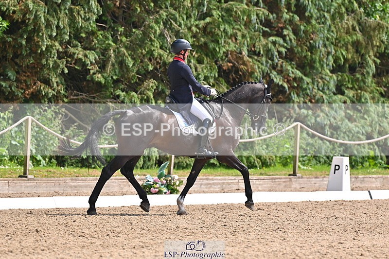 250523A-145646-07393 - B-365-Tom.McEwen-MAESTRO