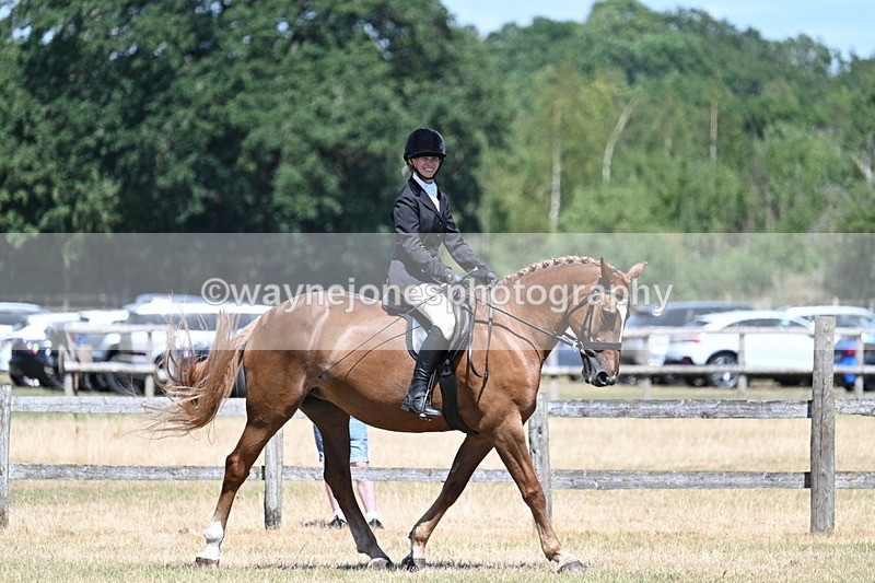 WJ7_2999 - Class 7 Riding Club Show Horse
