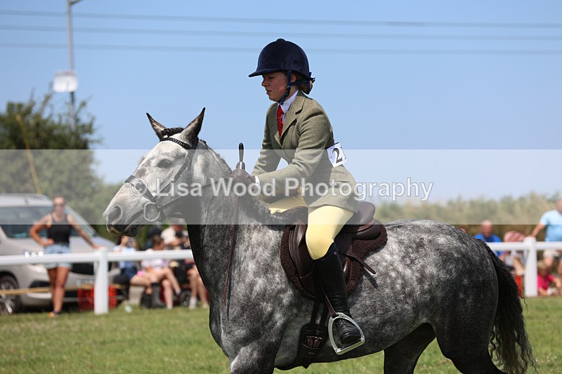 JPP_2467 - Class 21: Working Hunter 60cm