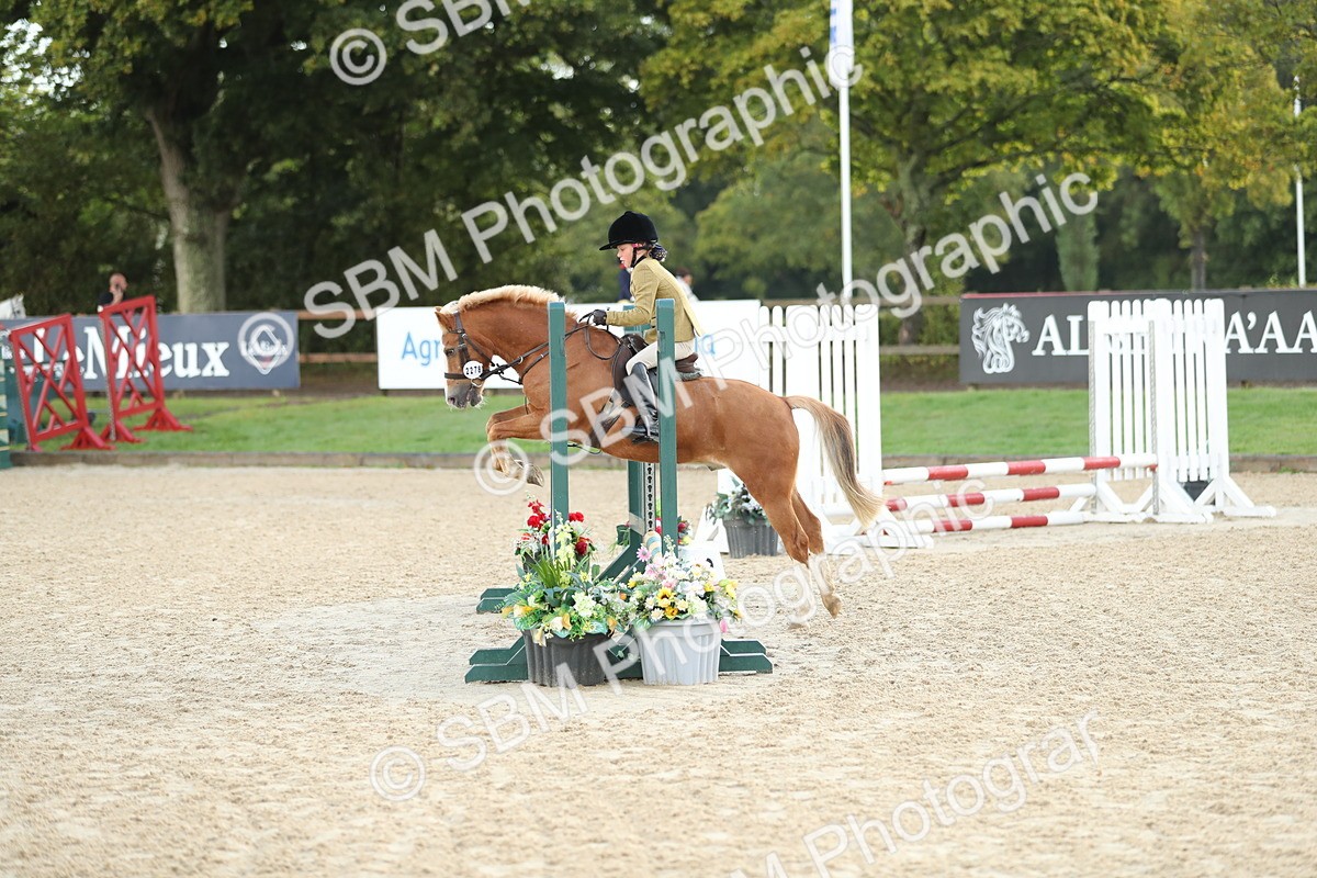 SBM_34148 - J60 Clear Round 50cm
