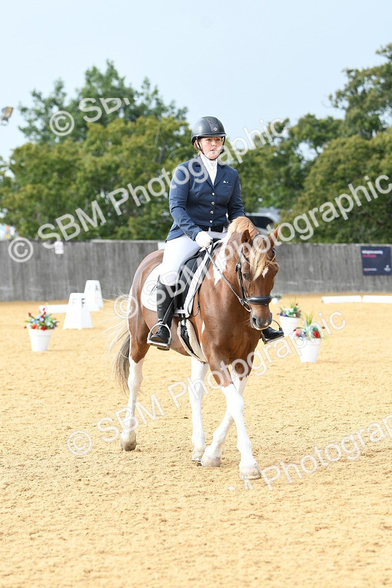 SBM_11064 - D28 Elementary Taster Elementary 42