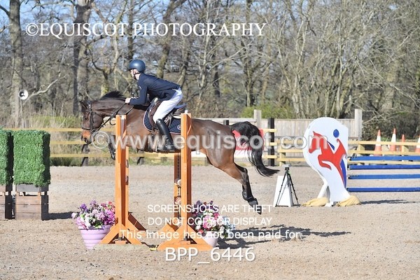 BPP_6446 - CLASS 10 SUN Newcomers/ 1m Open