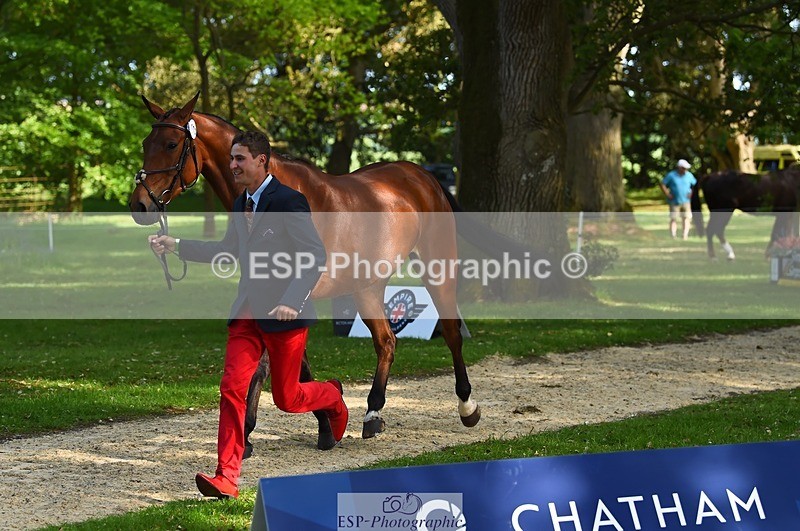 230524-171000-01320 - 173-HARIBO_LOUVO-Gaspard_Maksud-WEDTrotUp+DR