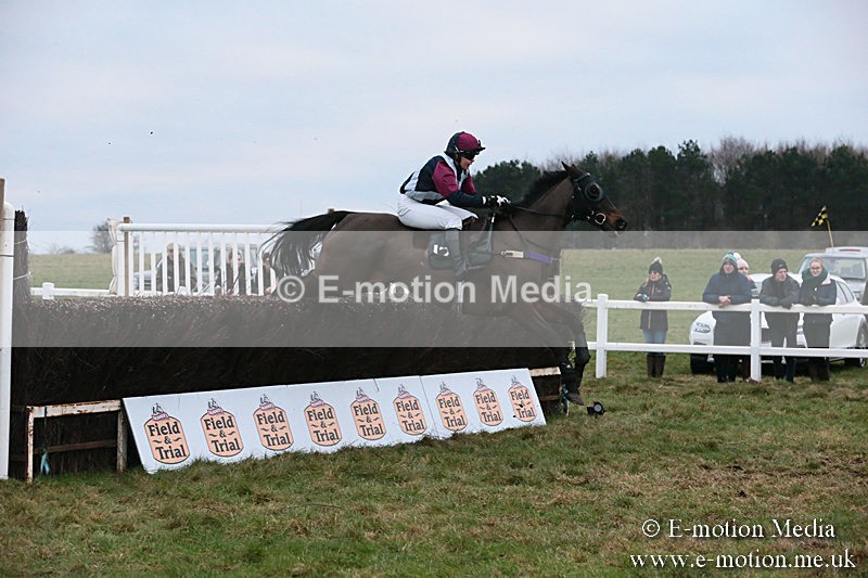 PtP 060119 588 - Larkhill Racing Club - Point-to-Point- 06/01/2019