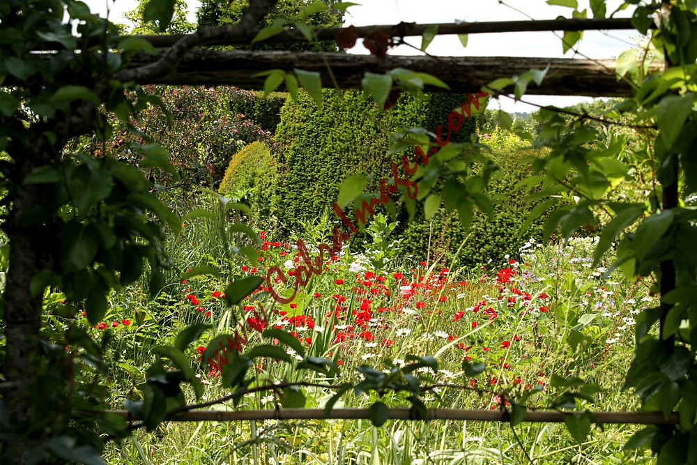 IMG_0020 - Great Dixter - Reopening Day after Lockdown