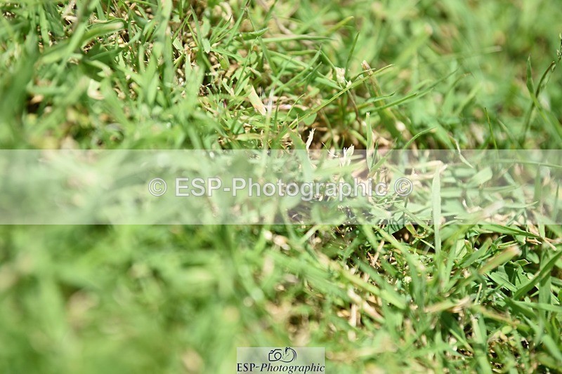 240605-120320-00868 - Cls 2 Prelim 19 SQ