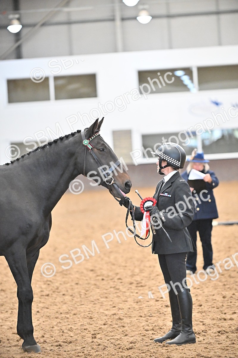 SBM_000761 - Class 16 - In Hand Showing Supreme Championships