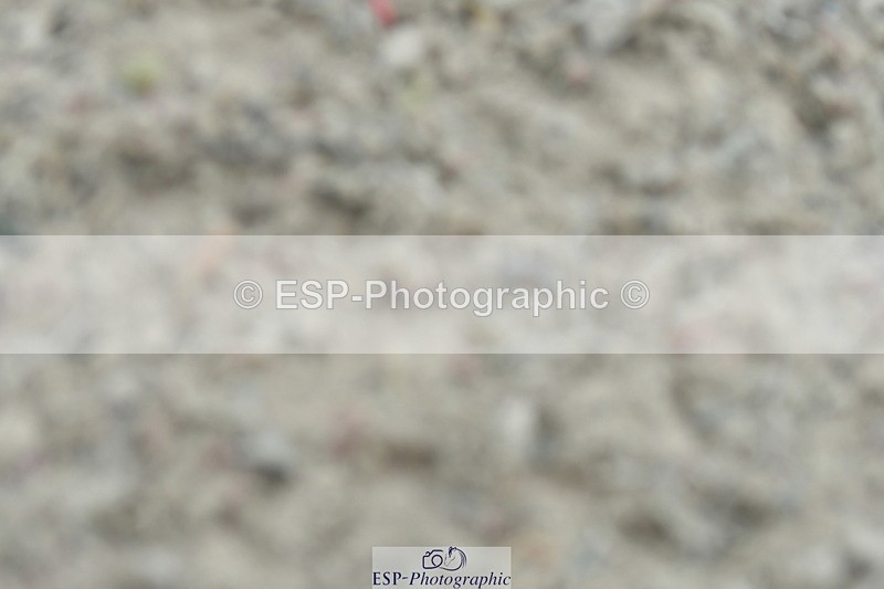 230305A-133419-00994 - Cls 5 Novice 28