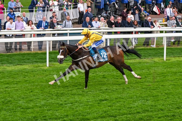 150524-Race 7-Dancing In Paris-4745 - Race 7 5.20pm Stuey Weston & Friends Getting Out Handicap