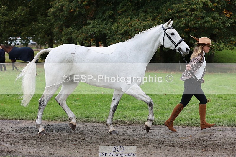 251026A-111812-25358 - G-565-Katie.Maddox