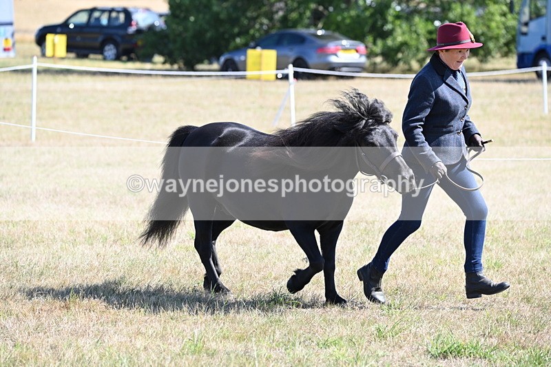 WJ6_4518 - Class 17 Mountain & Moorland