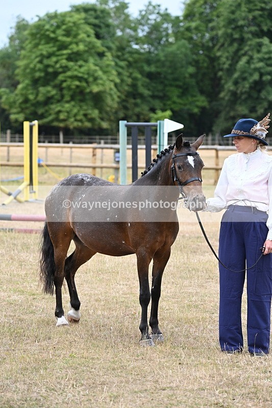 WJ6_8199 - Class 10 Coloured in Hand