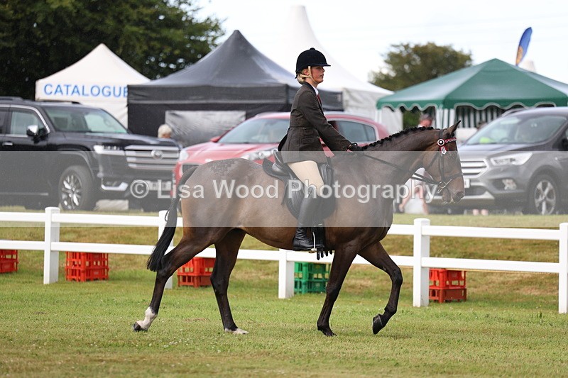 3E7A7971 - Class 2: Rising Star Large Hack/Riding Horse