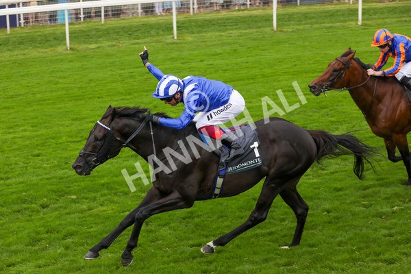 230823-Race 4-Mostahdaf-4293 - Race 4 3.35pm Juddmonte International Stakes