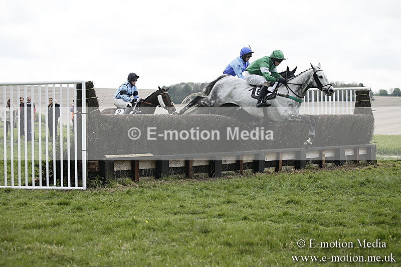 PtP 170417 94 - Old Berks Point-to-Point Lockinge 17/04/17