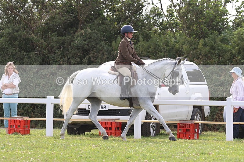 JPP_4231 - Class 25: Working Show Horse