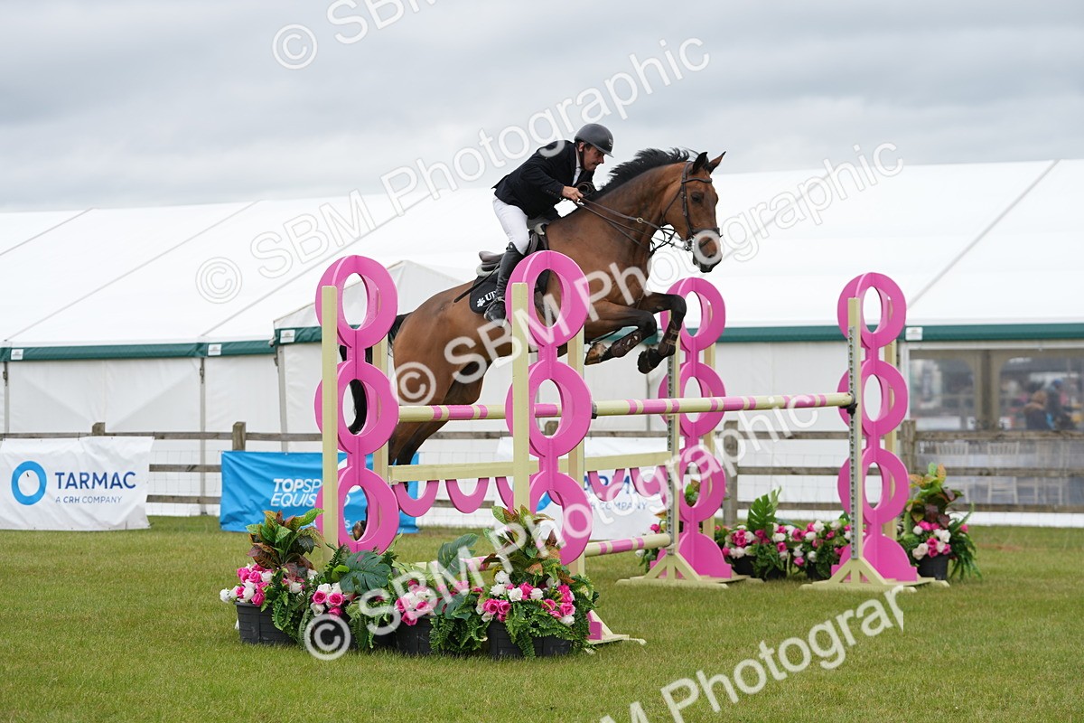 SBM_03430 - Class 201 - British Horse Feeds Speedi Beet Horse of the Year Show Grade  C