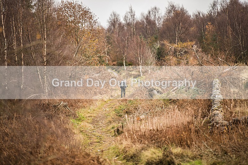 Tweed Valley-909 - High Terrain Events Tweed Valley 50 & 65K Ultra Trail Races Sunday 16th November 2025