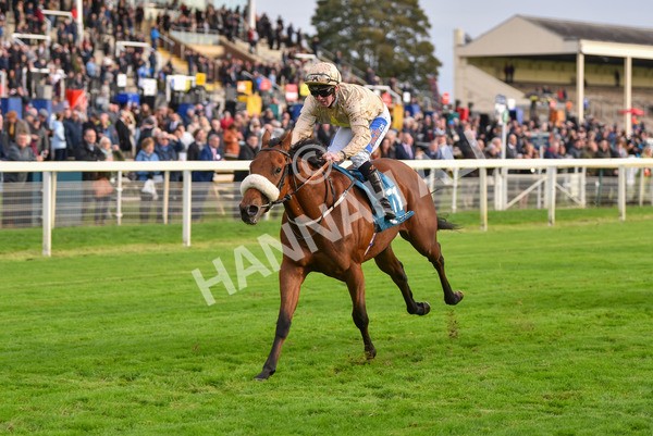 131023-Race 5-Irish Nectar-9682 - Race 5 4.25pm Parsonage Hotel And Cloisters Spa Nursery Handicap