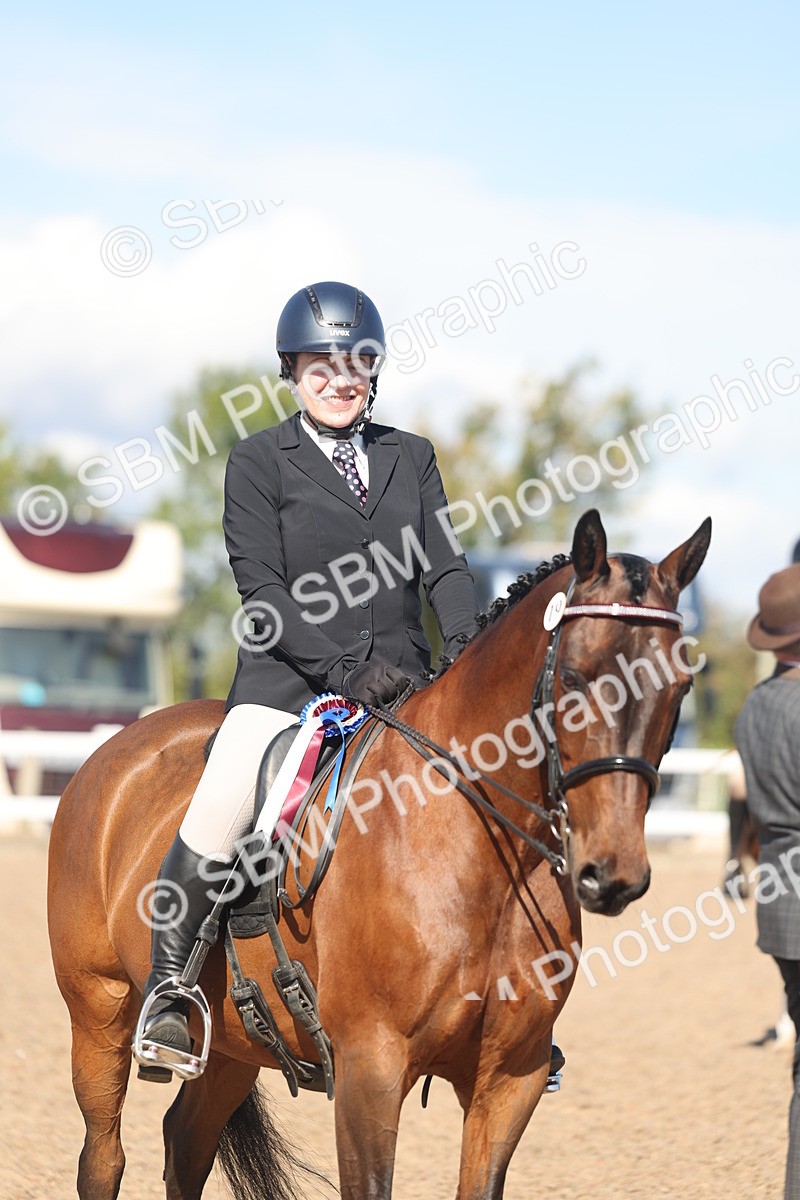 SBM_13125 - Class 305 - Ridden Foreign Breed Pure Bred