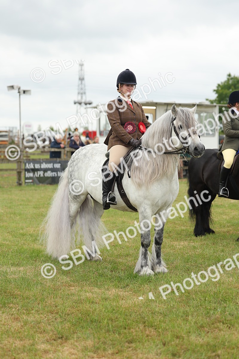 SBM_09031 - Class 78-80 - Ridden M&M Non Welsh Ponies