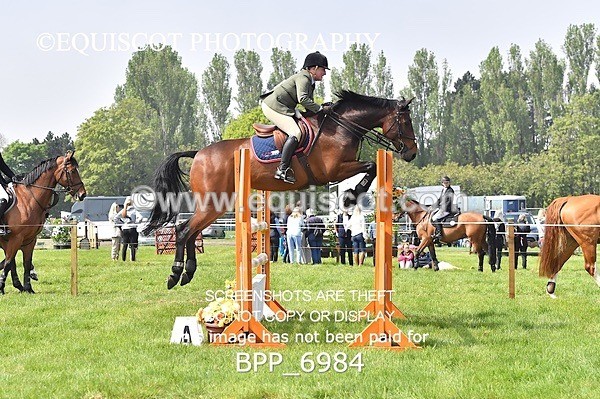 BPP_6984 - CLASS 3 RHS Fox Champ Qual (1.20m)