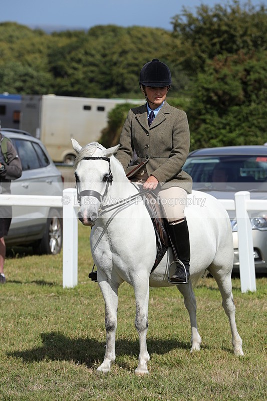 1X9A5732 - Class 40: NPS Welsh A & B