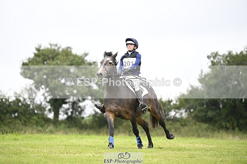 240831A-142843-03644 - 201-Abi.Mobbs-MYSTICAL.ADMIRAL