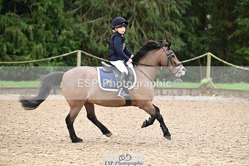 260222A-092525-00103 - 40cm Lead Rein and Assisted
