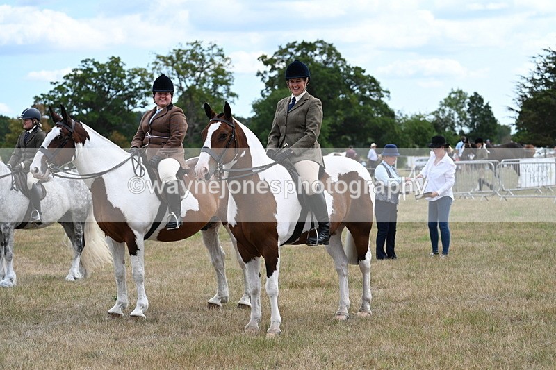 WJ7_5490 - Class 12 Ridden Cob