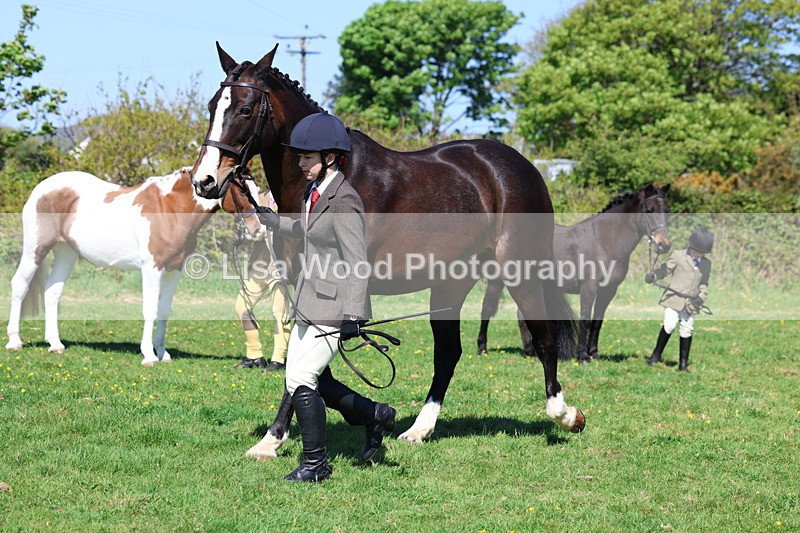 3E7A9857 - Class 17: Young Handler