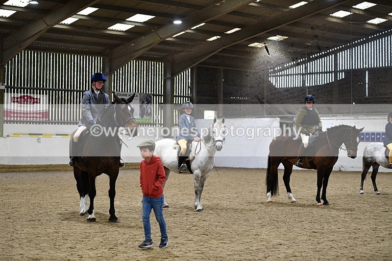 WJ5_8097 - Class 13 Ridden Part Breed