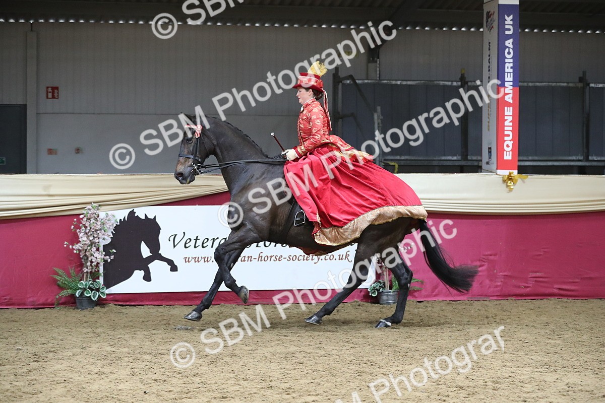 SBM_12149 - Class 107 Ridden Costume- Astride Adult (20+)