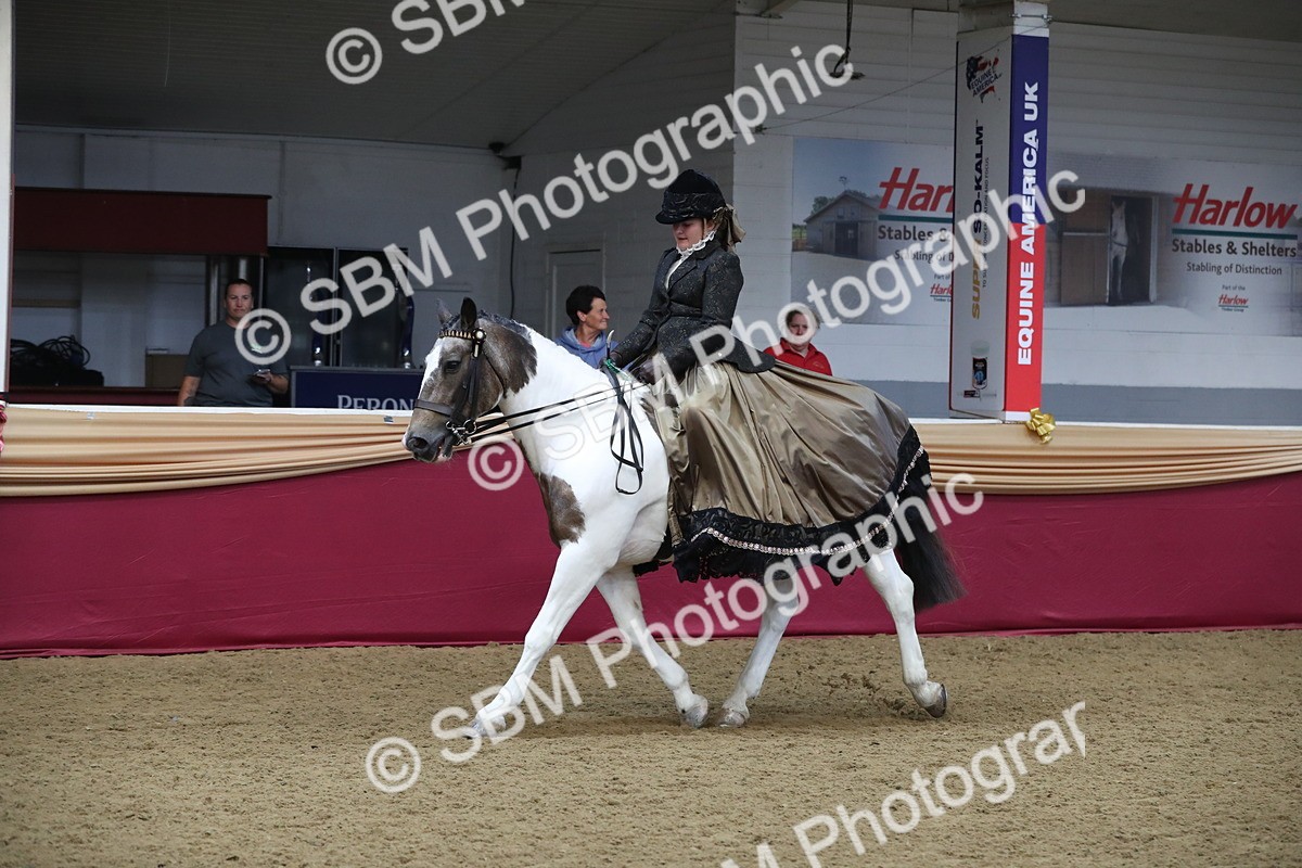 SBM_11312 - Class 104 Ridden Costume - Astride Junior