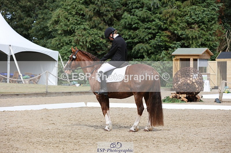 250718A-160329-02763 - 153-Grace.Coker-Brown-Yarty.Reflection