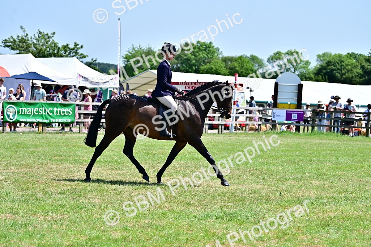 SBM_17413 - Class 95-97 - BSPS LHS Performance Ponies