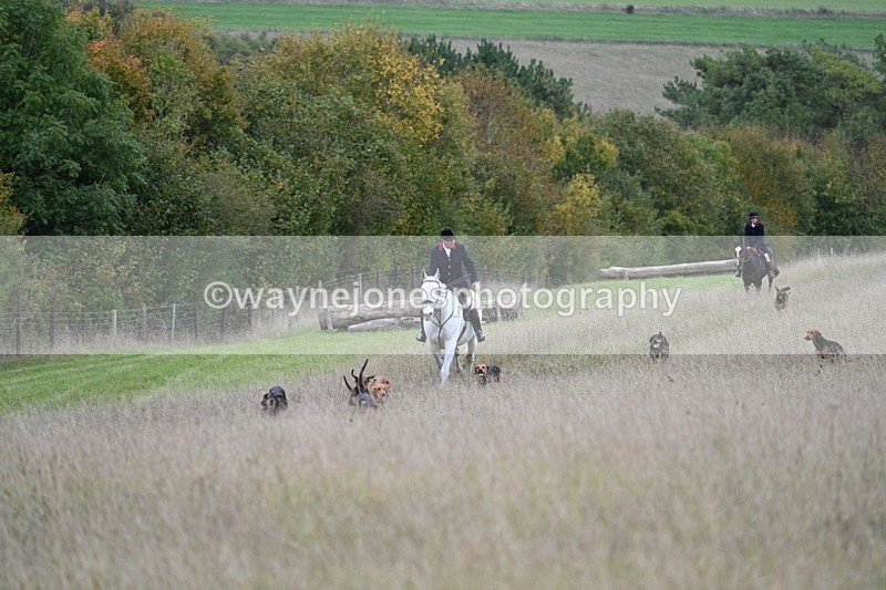 WJ7_3550 - Camera 1 Line 1