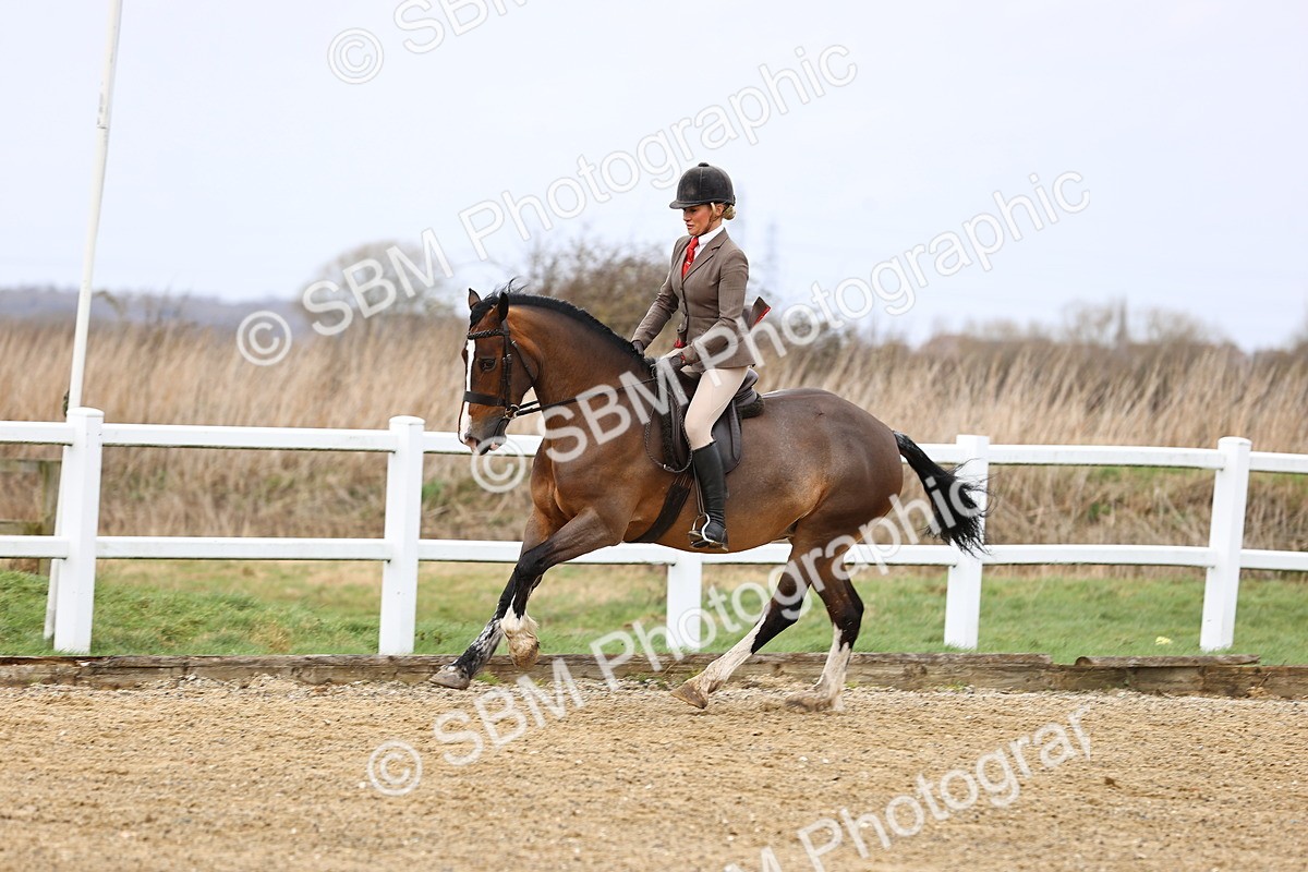 SBM_006948 - Class 29 - 30 - M&M Pure Novice Small-Large Breeds