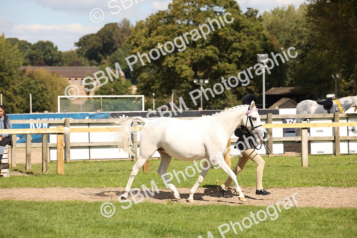 SBM_44386 - S24 - Young Veteran in hand