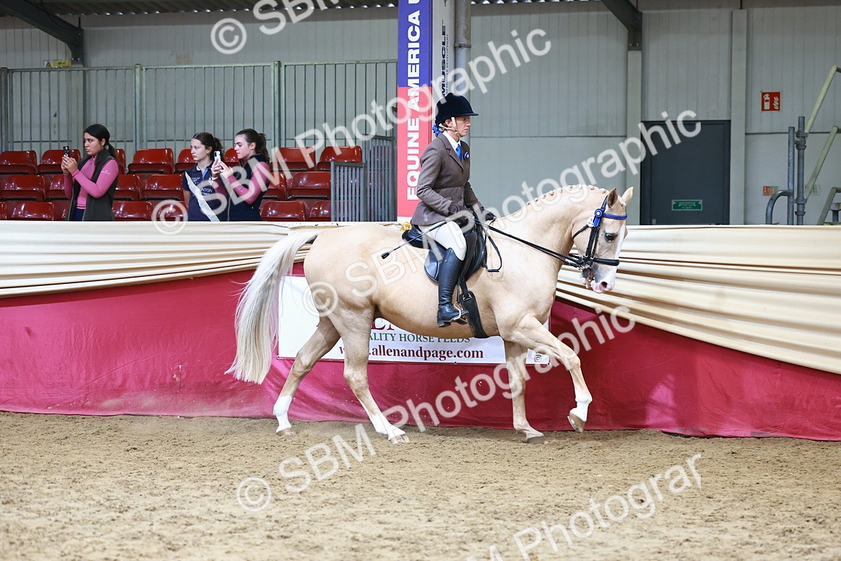 SBM_23709 - Class 905 - Supreme Final - Ridden Veteran